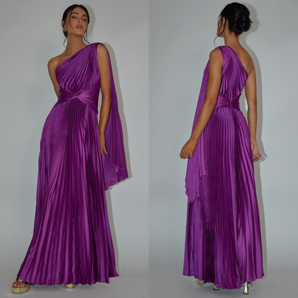 Selfie Leslie Laxmi Accordion Pleat Maxi Purple Dress S Wedding Party Prom